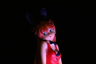 �\������郉�C�e�B���O�ł��B