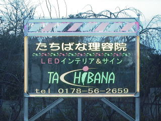 �k�d�c�Ŕ@����